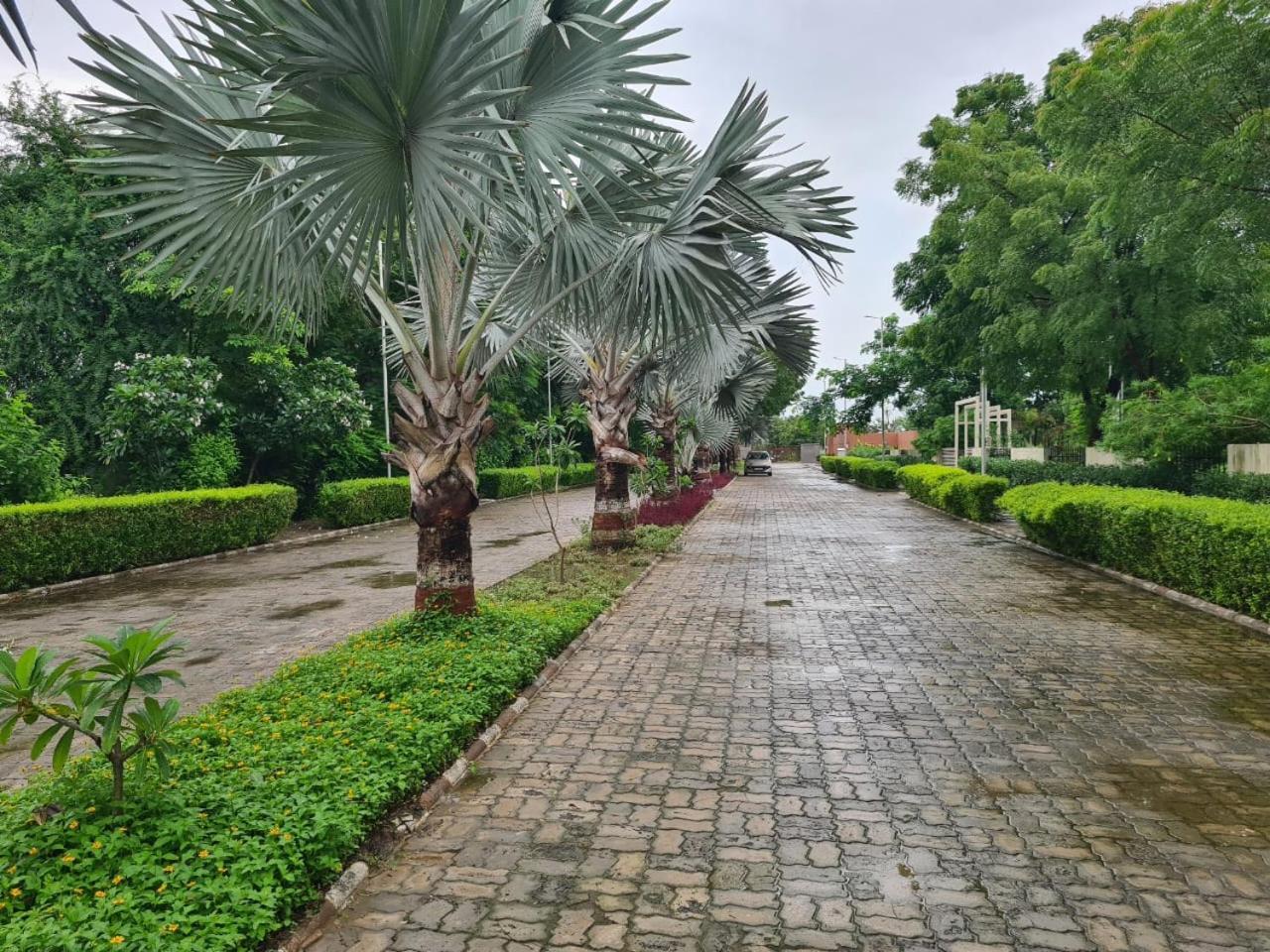 Club Azzurro Resort - Nalsarovar Nānodra Esterno foto